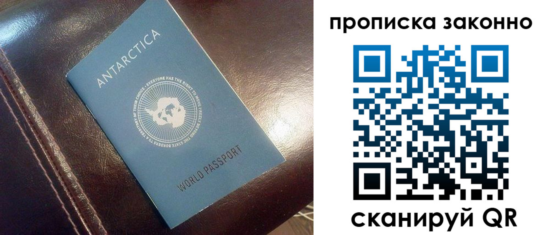прописка в квартире в Звенигово